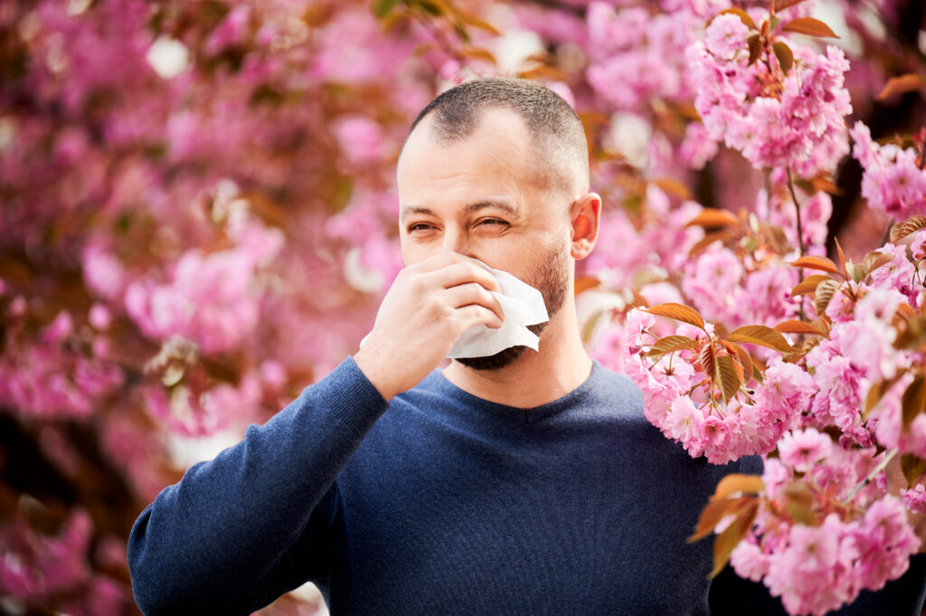 allergie stagionali